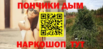 индика Славгород