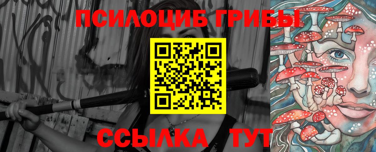 Ртищево  Псилоцибиновые грибы Psilocybine cubensis  Вход с VPN 