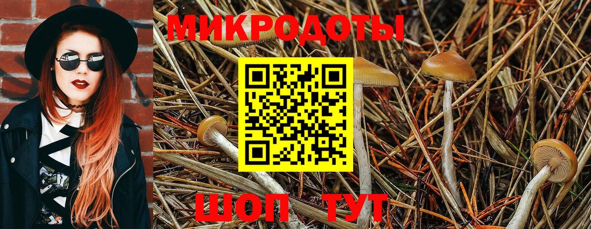 Галлюциногенные грибы ЛСД Ртищево